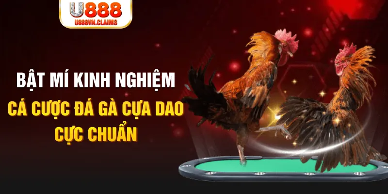 tg88 casino hồ tràm có cho người việt vào không