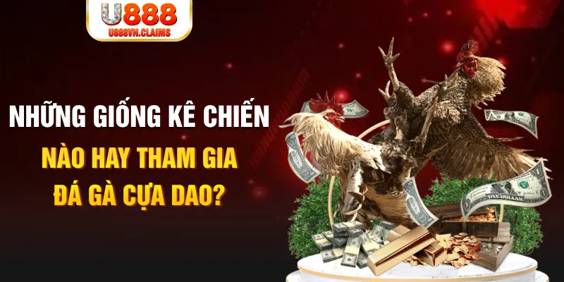 tg88 BG Trực Tuyến