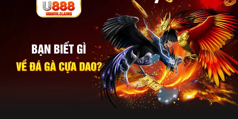 tg88 xo so mien bac