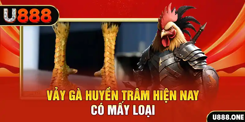 tg88 đăng nhập nổ hũ miễn phí