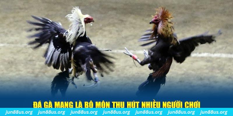 tg88 đăng nhập sòng bạc số 1