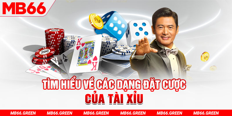 tg88 what is a casino loyalty program