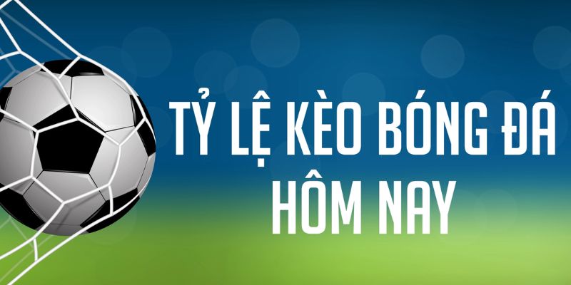 tg88 đăng nhập phỏm