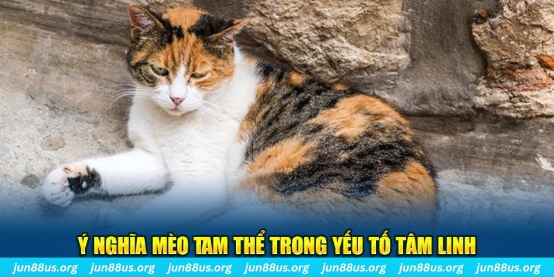 tg88 máy slot game là loại trò chơi gì？