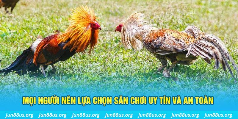 tg88 đăng nhập poker 2025