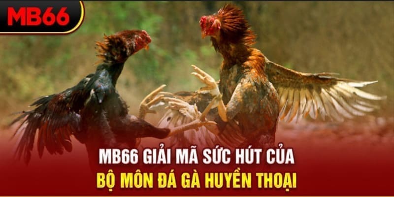 tg88 xổ số đài bắc