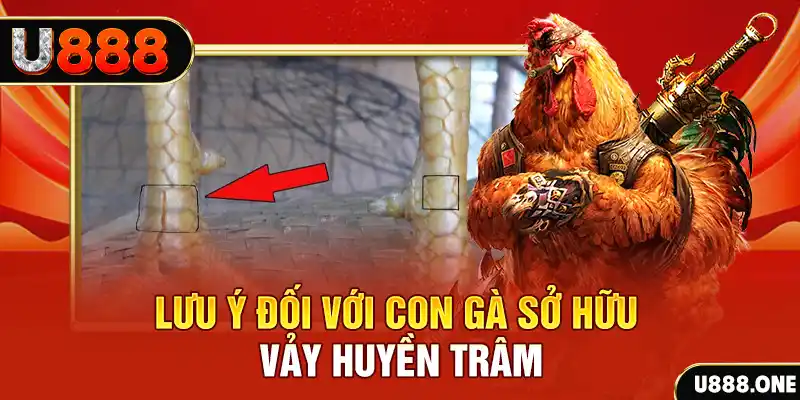 tg88 tải game đánh bài tiến lên miền nam về máy tính