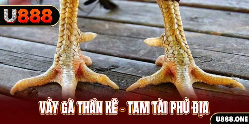 tg88 so xo mien trung