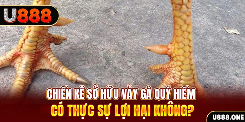 tg88 xổ số miền trung