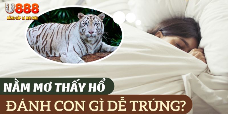 tg88 nohu .mx nổ hủ là gì
