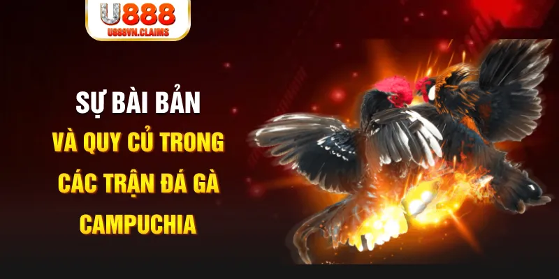 tg88 game xếp bài trên máy tính