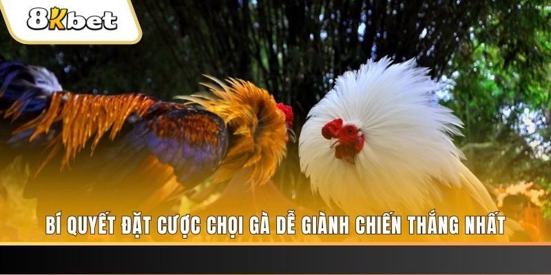 tg88 nổ hũ chơi như thế nào