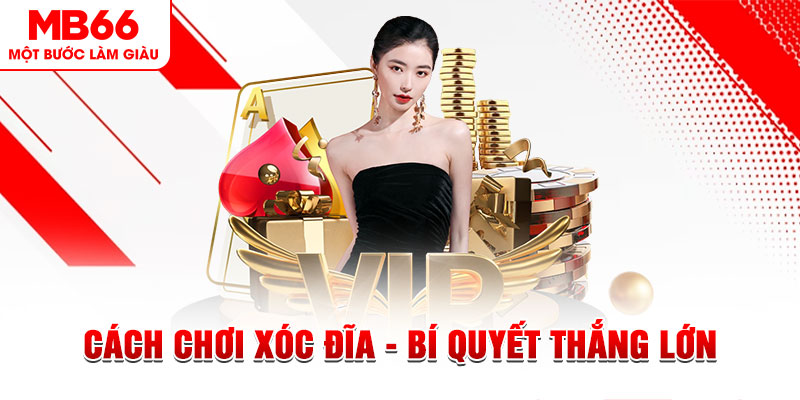 tg88 Đĩa màu ace