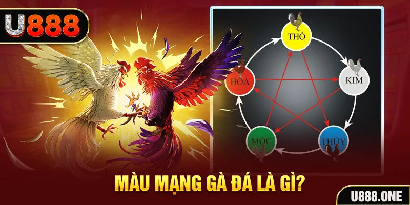 tg88 V8 Game Bài 3d