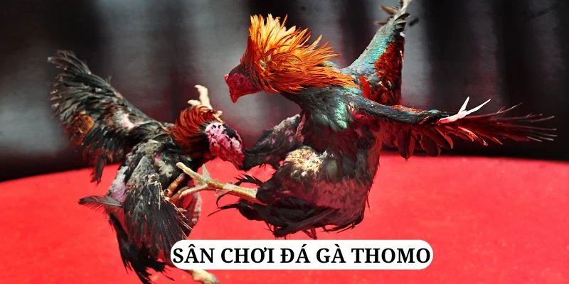 tg88 quay nổ hũ là gì